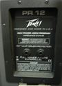 Picture of PEAVEY PR12 2-WAY PORTABLE PA SPEAKERS