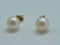 Picture of 14kt yellow gold studs with pearls 7mm 1.2 grams 810933-1